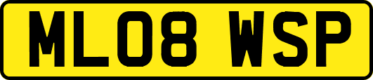 ML08WSP