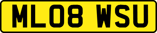 ML08WSU