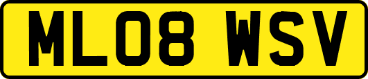 ML08WSV