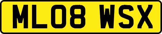ML08WSX