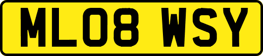 ML08WSY