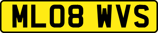 ML08WVS