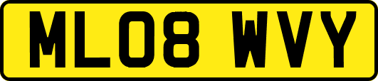 ML08WVY
