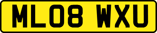 ML08WXU