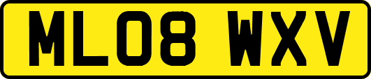ML08WXV