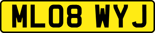 ML08WYJ
