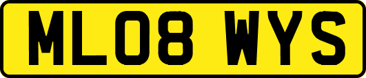 ML08WYS