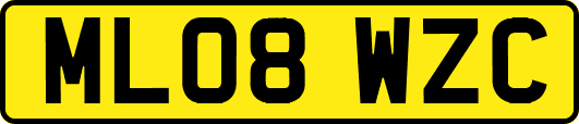 ML08WZC