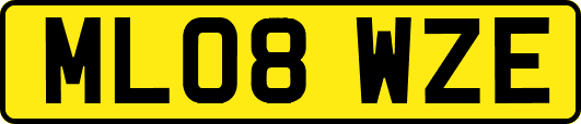 ML08WZE