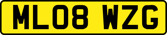 ML08WZG