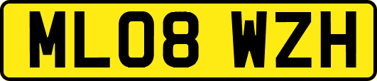 ML08WZH