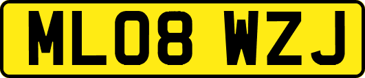 ML08WZJ