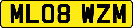 ML08WZM