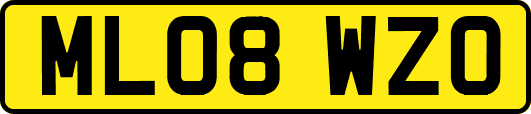 ML08WZO