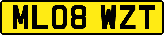 ML08WZT