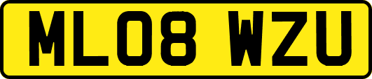 ML08WZU
