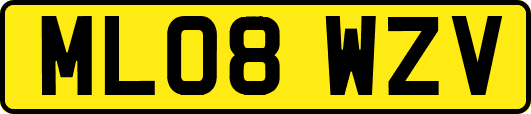 ML08WZV