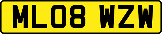 ML08WZW