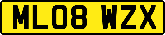 ML08WZX
