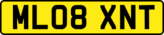 ML08XNT
