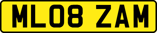 ML08ZAM