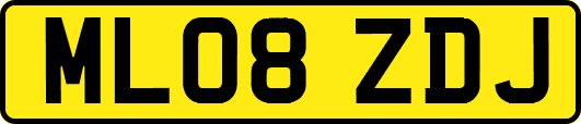 ML08ZDJ