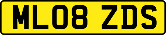 ML08ZDS
