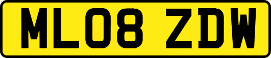 ML08ZDW