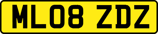 ML08ZDZ