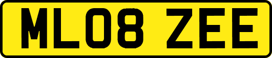 ML08ZEE