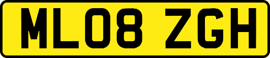 ML08ZGH