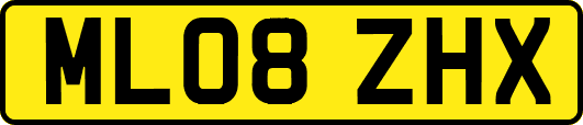 ML08ZHX
