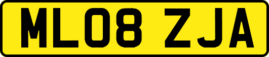ML08ZJA