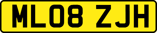 ML08ZJH