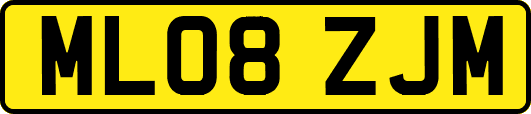 ML08ZJM