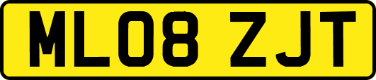 ML08ZJT