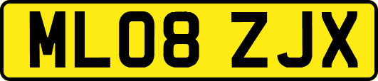 ML08ZJX