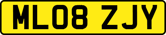 ML08ZJY