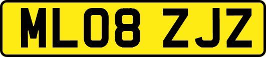 ML08ZJZ