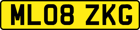 ML08ZKG