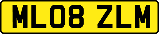 ML08ZLM