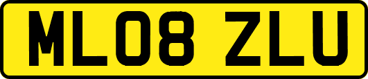 ML08ZLU