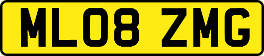 ML08ZMG