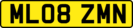 ML08ZMN