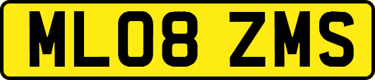 ML08ZMS