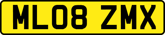 ML08ZMX