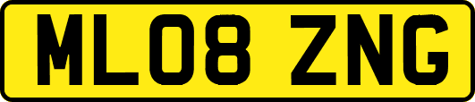 ML08ZNG