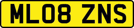 ML08ZNS