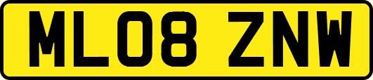 ML08ZNW