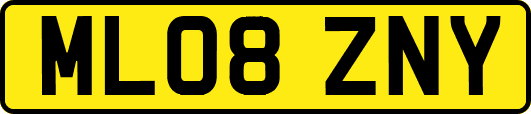 ML08ZNY
